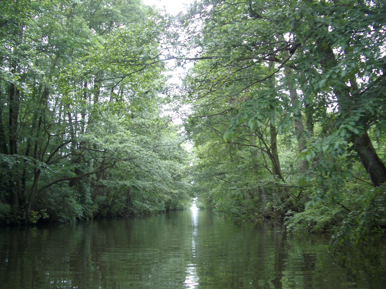 Bolter Kanal