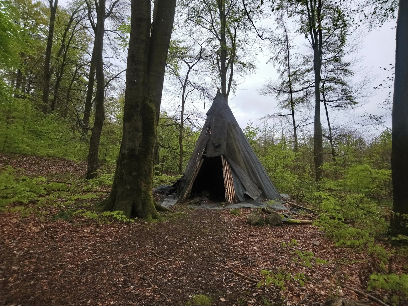 Finnhütte am Altarstein