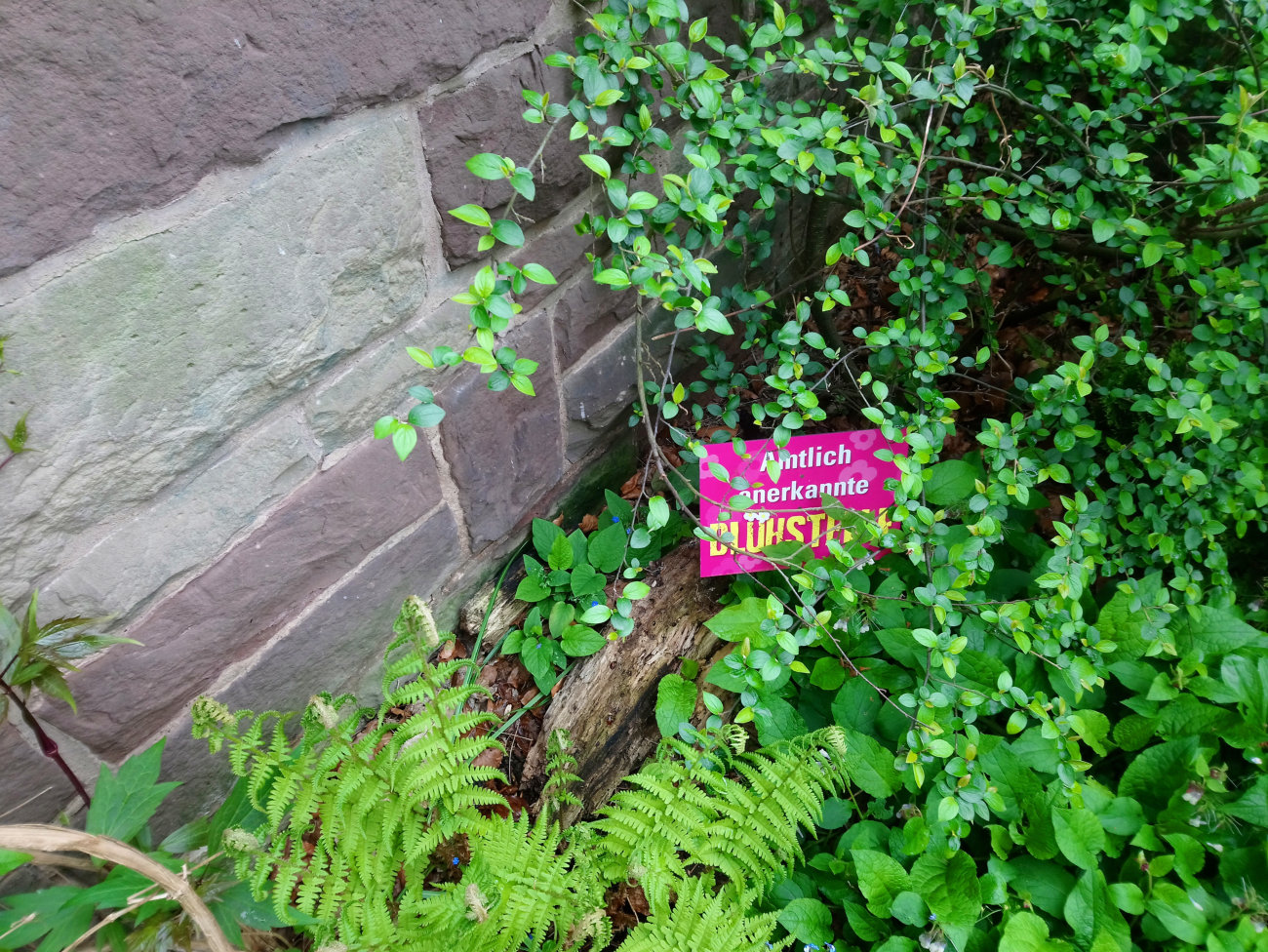 Amtlich anerkannte Blühstelle