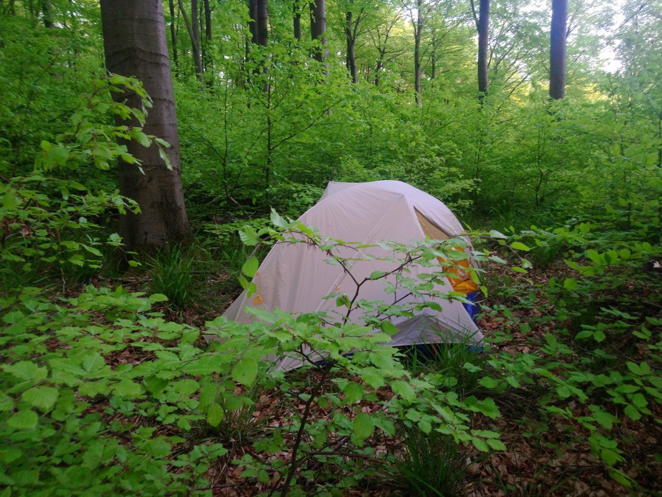 Zelt auf dem Süntel