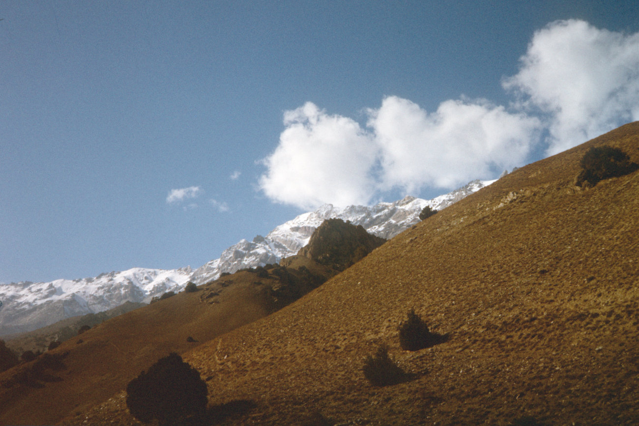 schneebedeckte_Gipfel