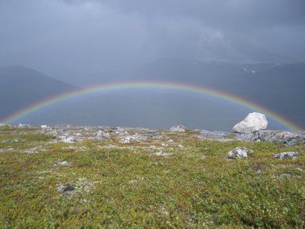 Regenbogen
