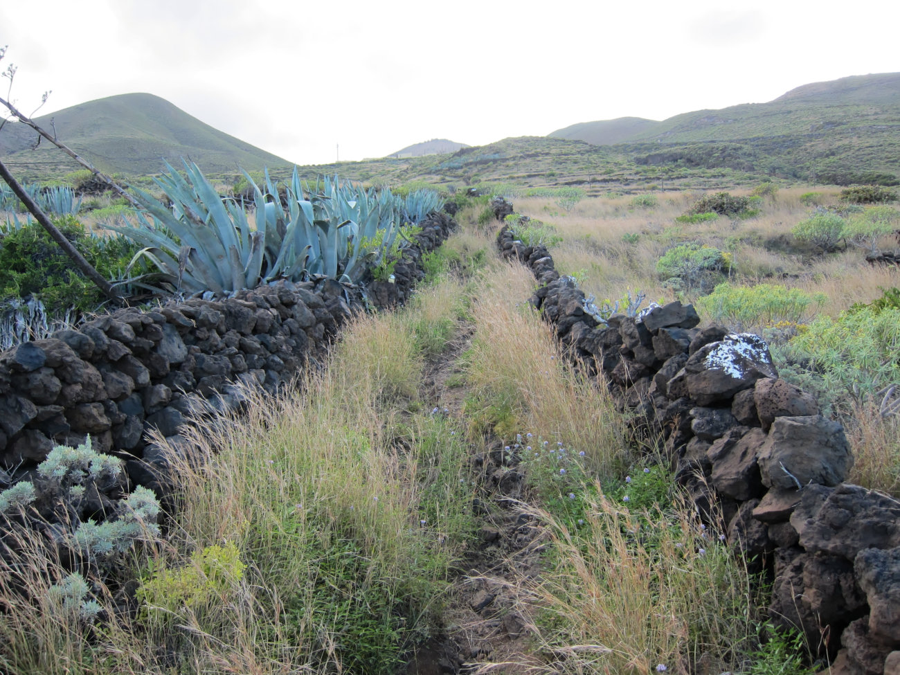 Weg ins Landesinnere nach Valverde