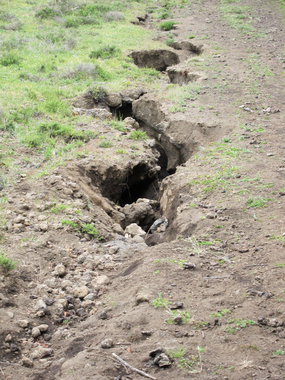 Riß in der Erde