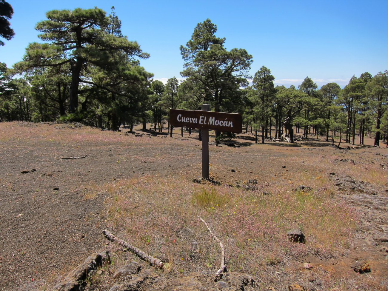 Schild Cueva El Mocan