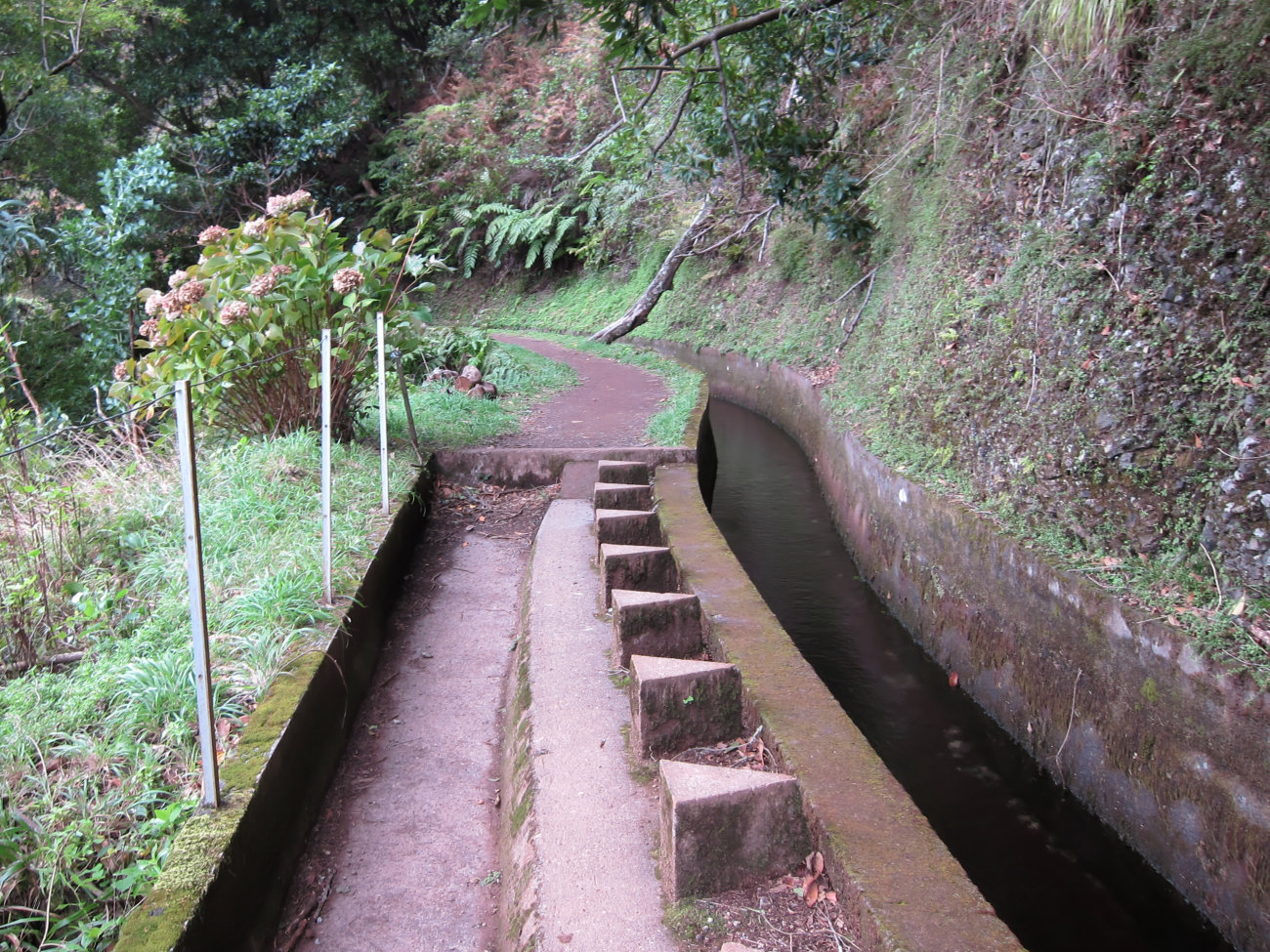 Levada-Überlauf