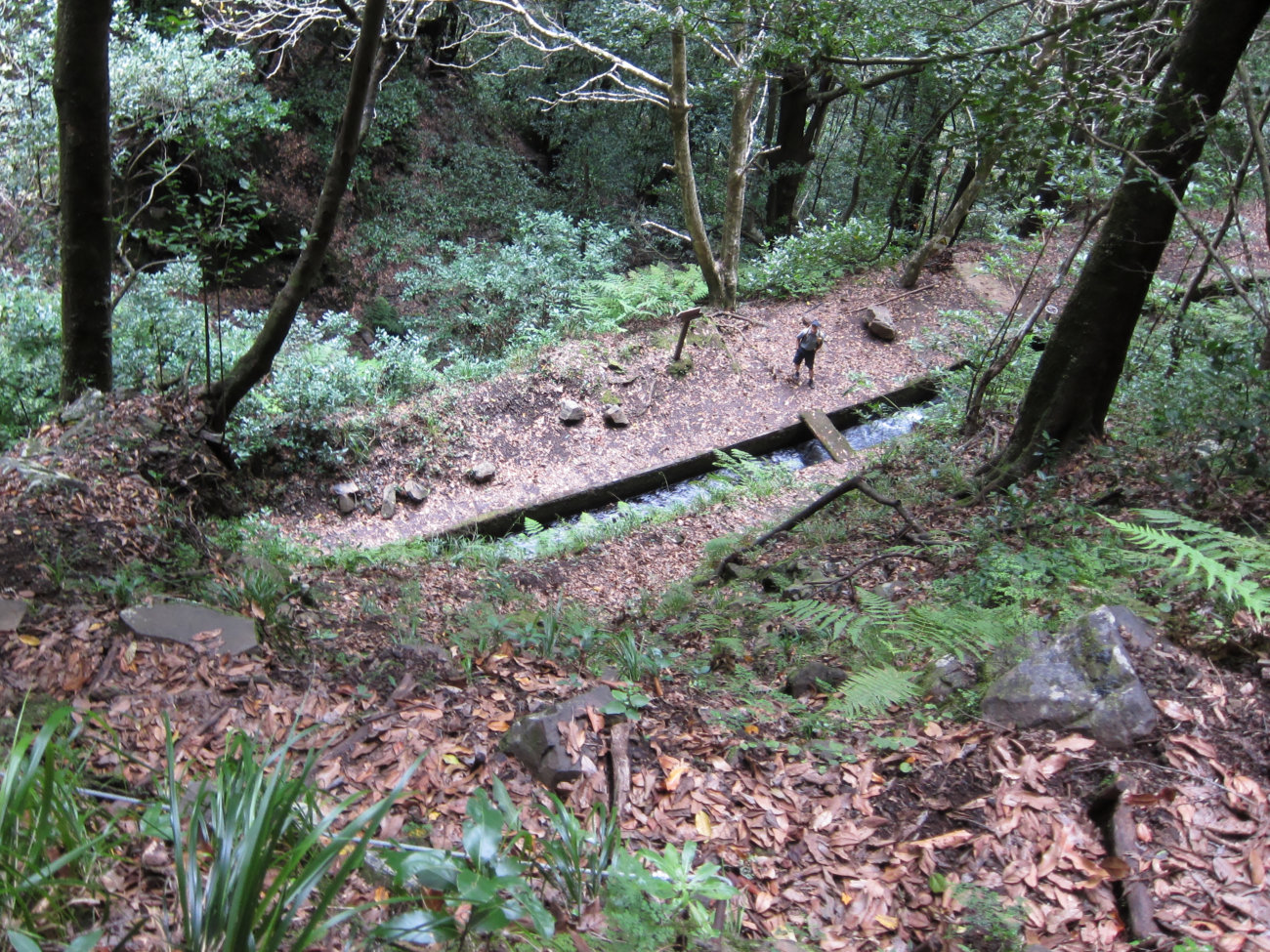 Beobachter am Wegweiser