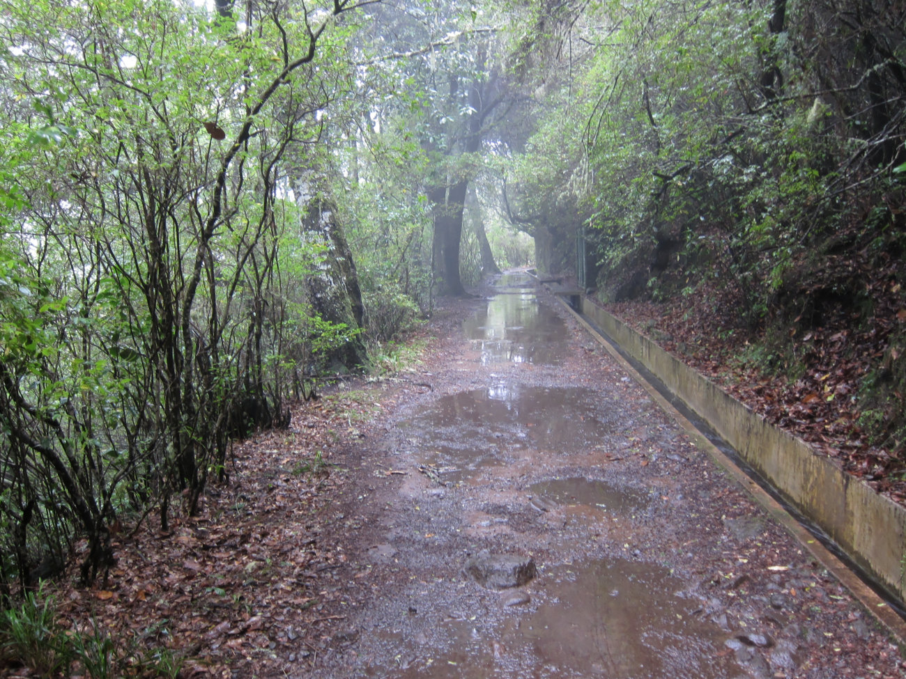aufgeweichter Weg neben der Levada