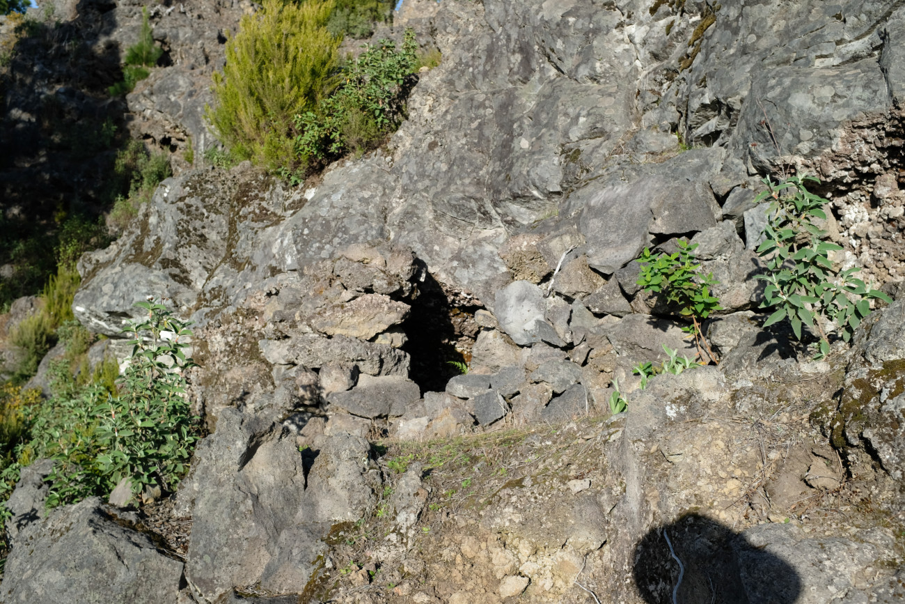 Cueva de Los Cochinos