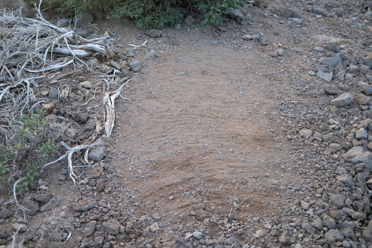 Schlafplatz beräumt