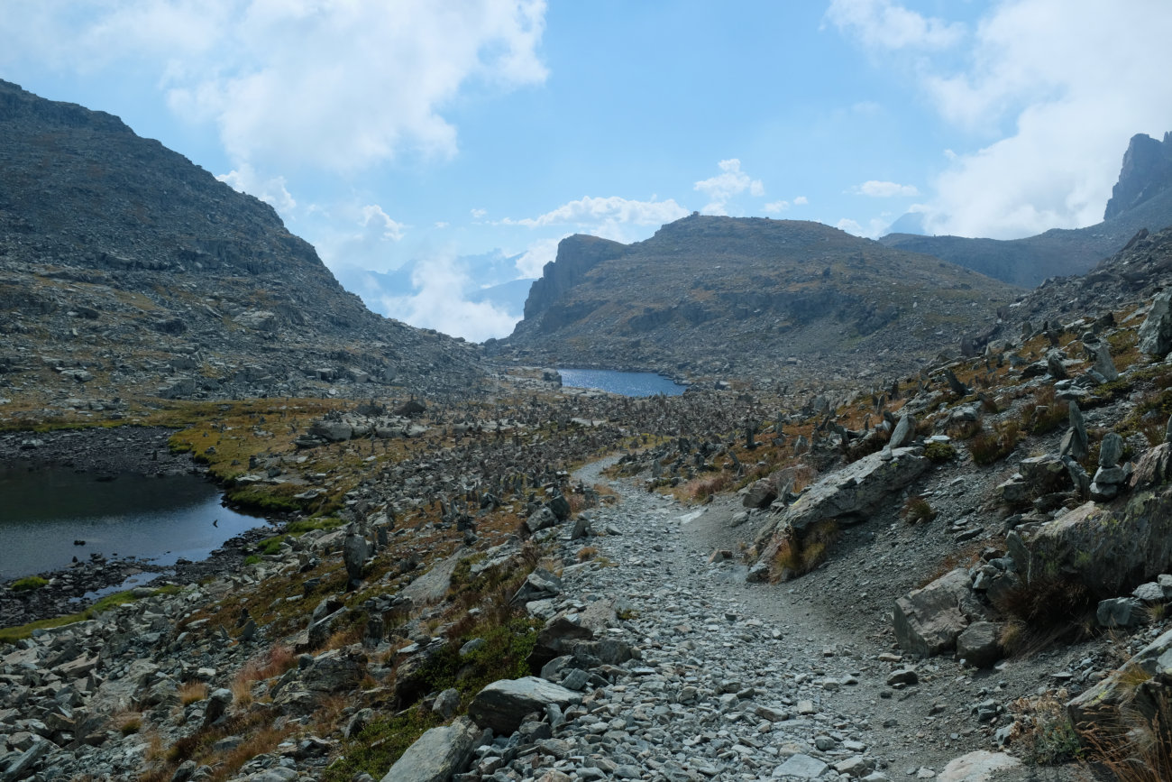 Stacheln am Lago Bertin