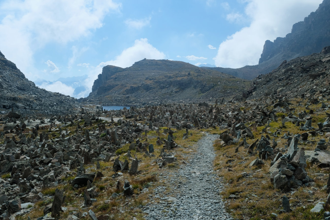Stacheln am Lago Bertin