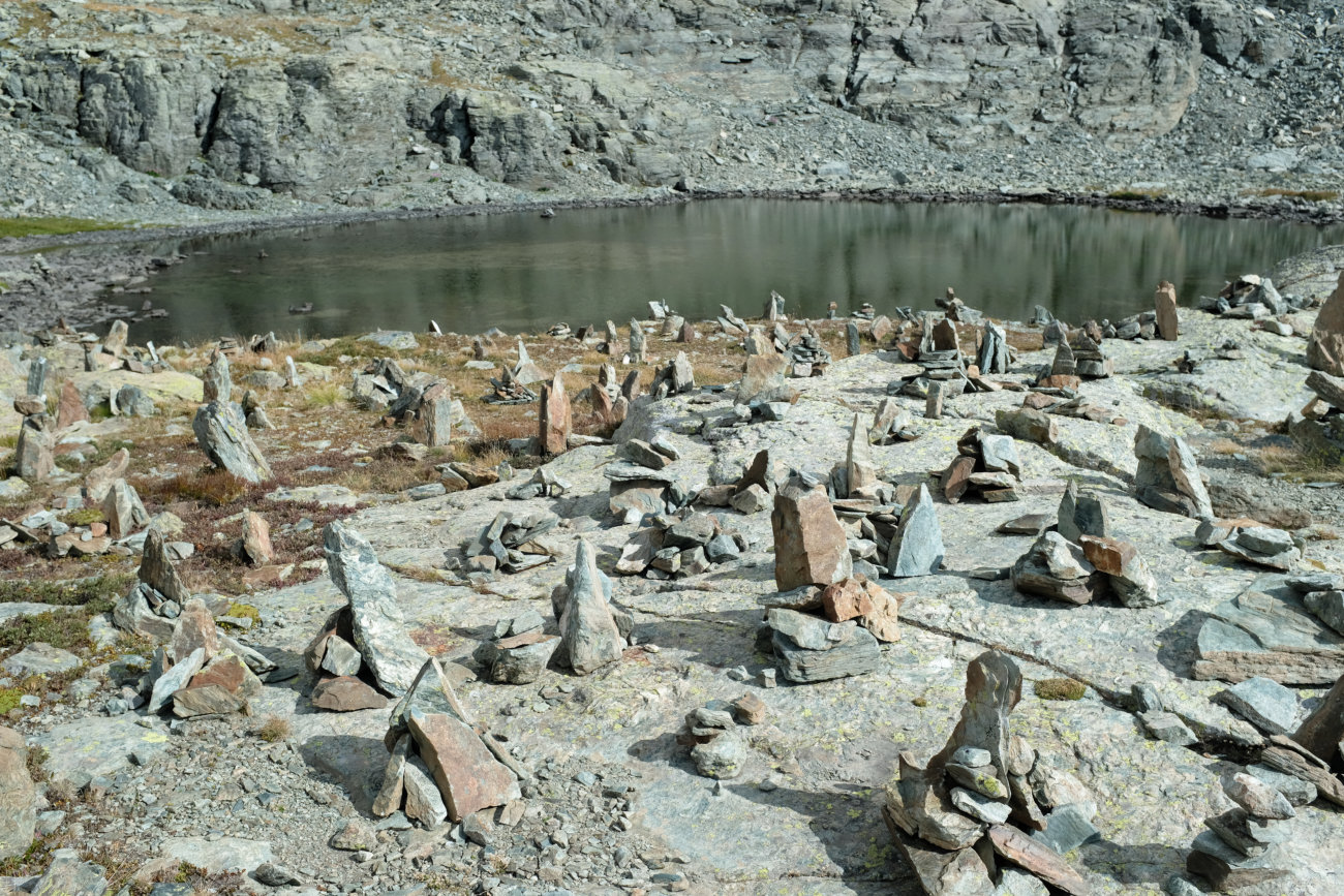 Stacheln am Lago Bertin