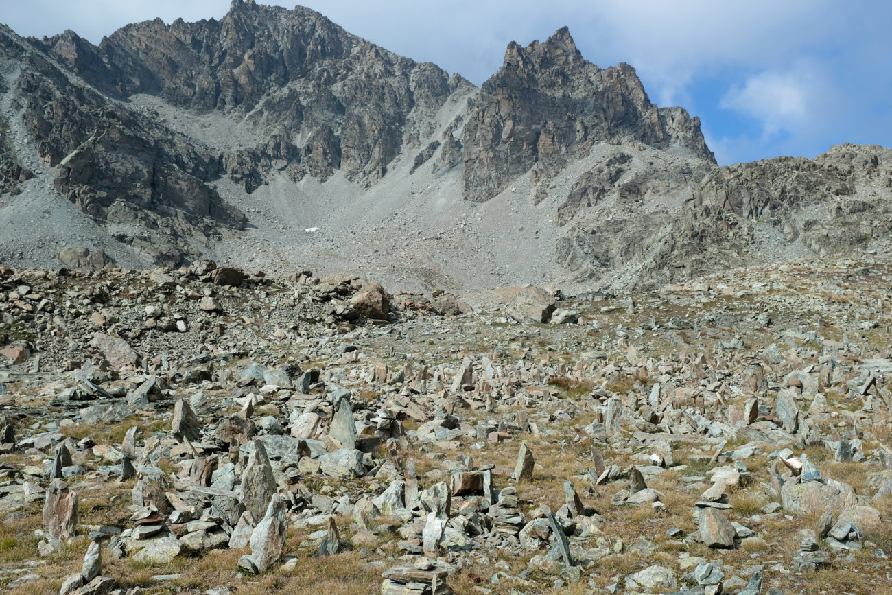 Stacheln am Lago Bertin