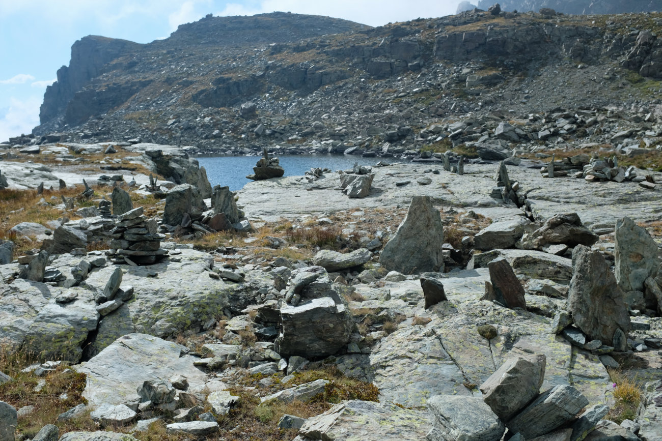 Stacheln am Lago Bertin