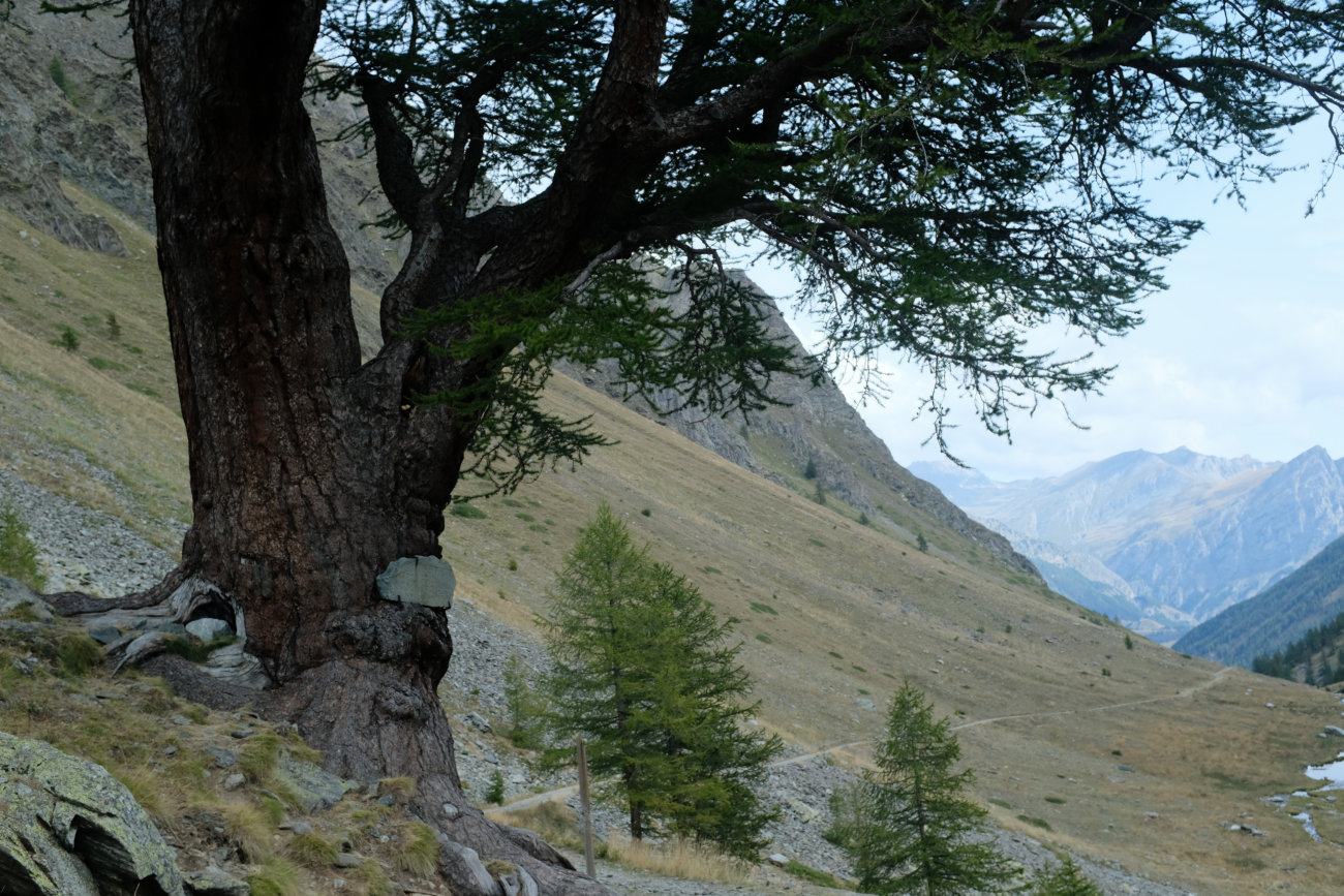 Weg im Vallone del Piz