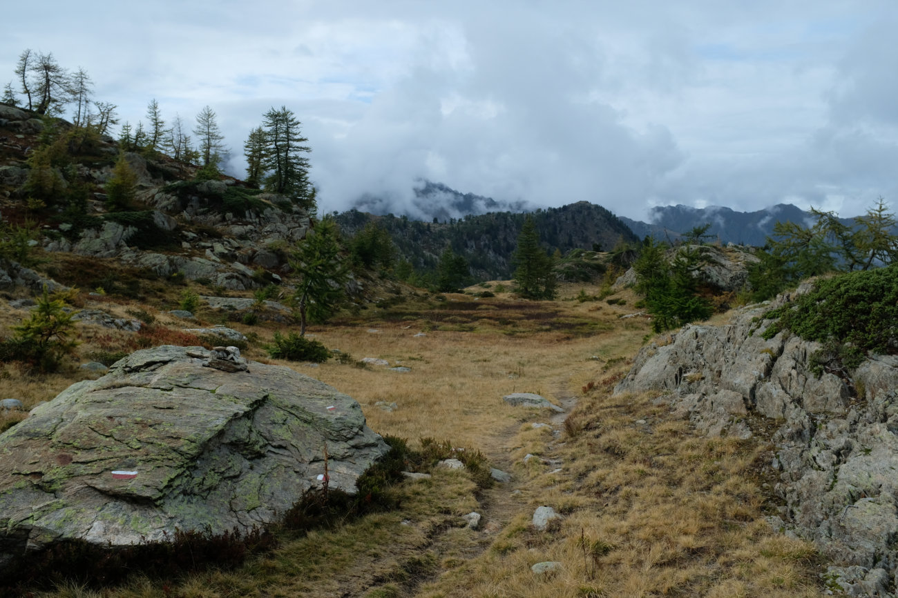 Hochmoore vor dem Passo Tesina