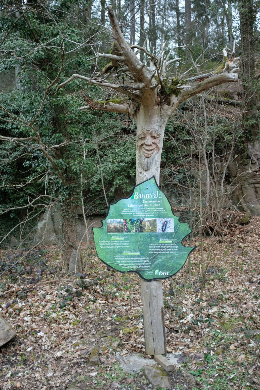 Bannwald Tafel 2