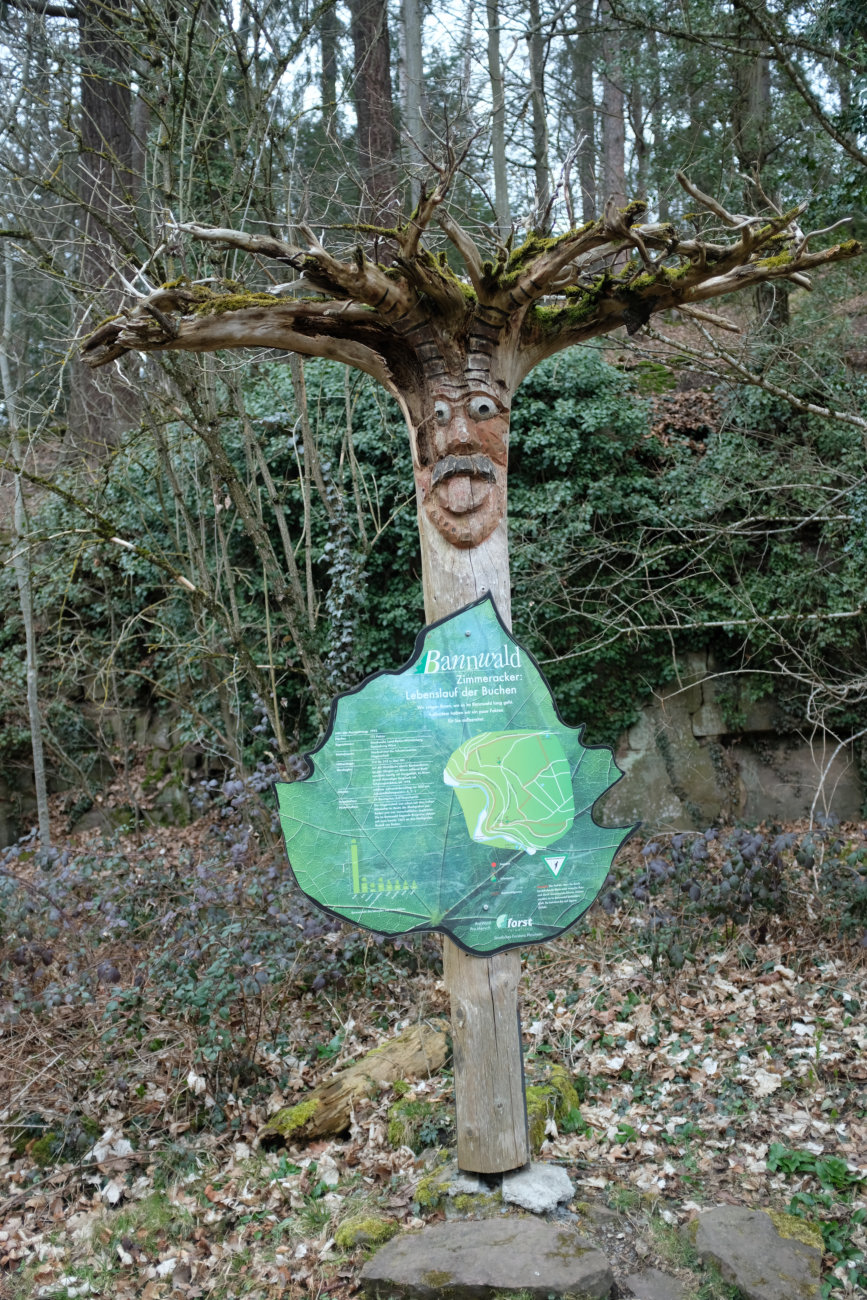 Bannwald Tafel 3
