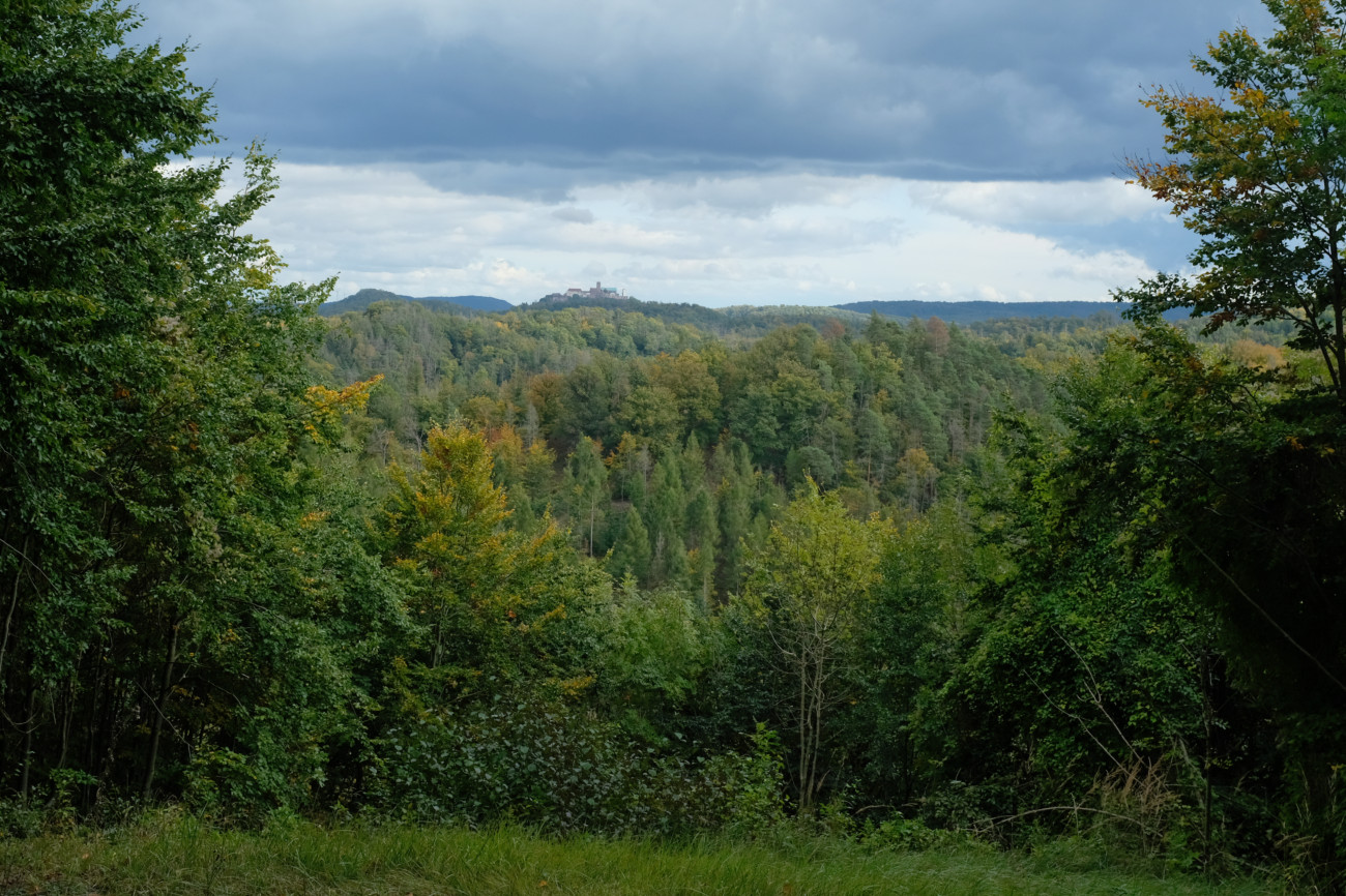 Wartburgblick