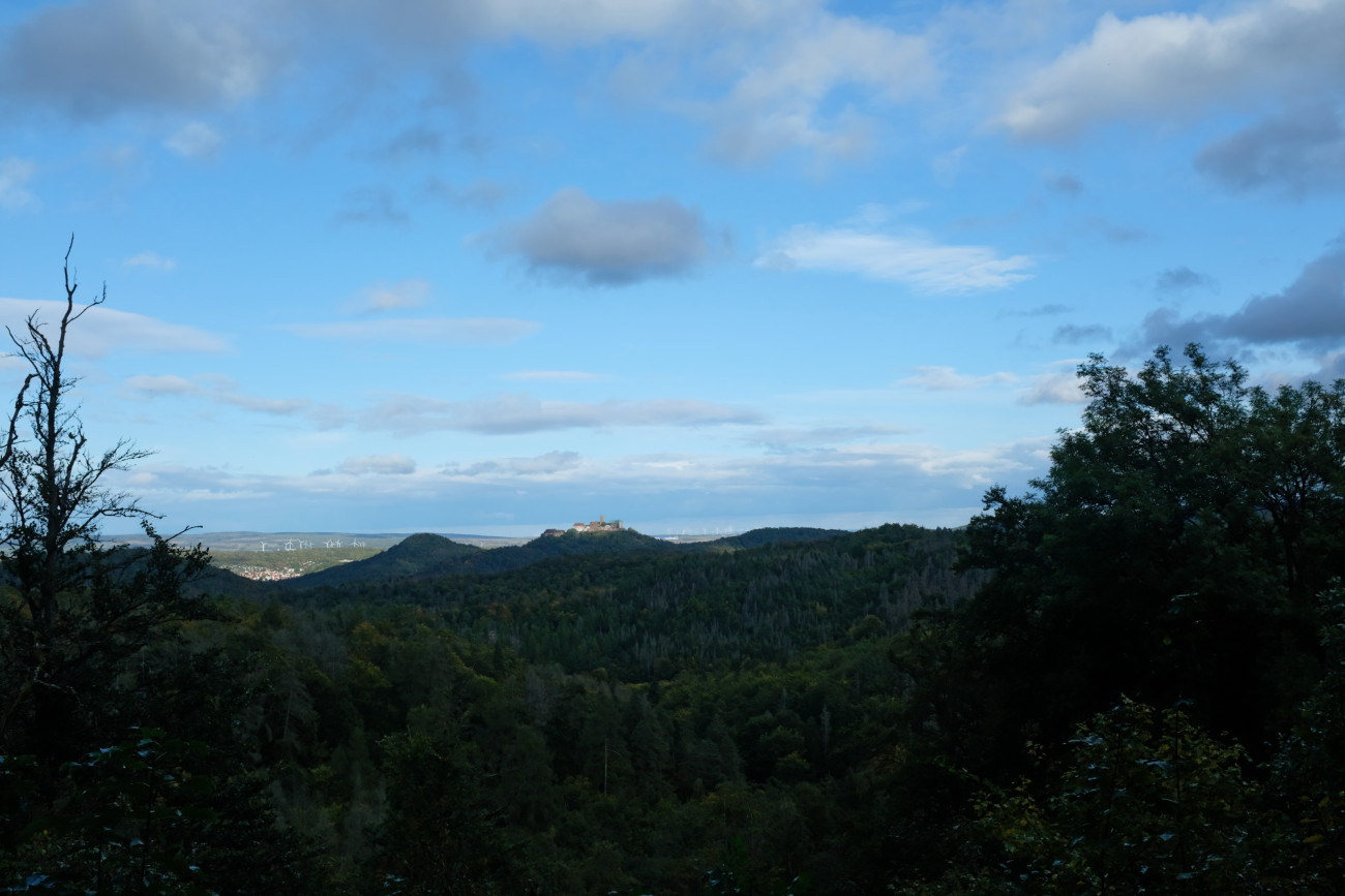 Wartburgblick