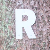 R