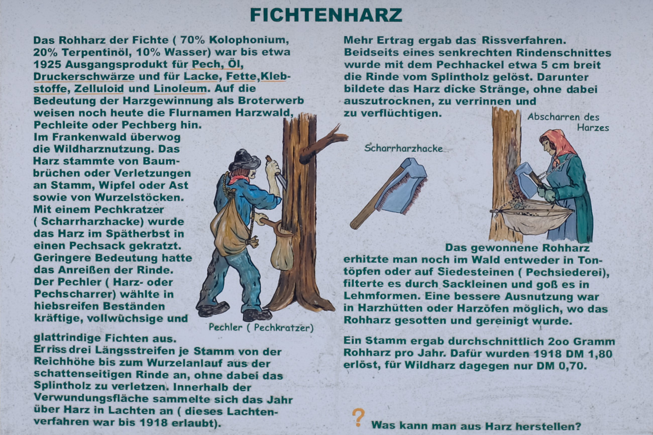 Tafel zur historischen Nutzung des Waldes - Fichtenharz