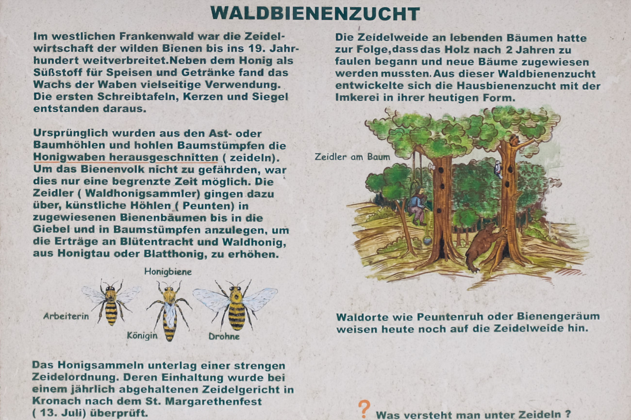 Tafel zur historischen Nutzung des Waldes - Bienenzucht