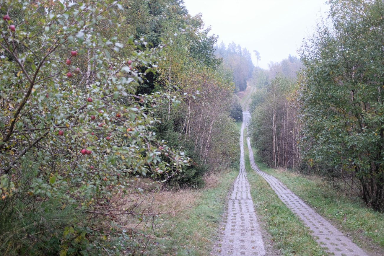 alter Grenz-Plattenweg