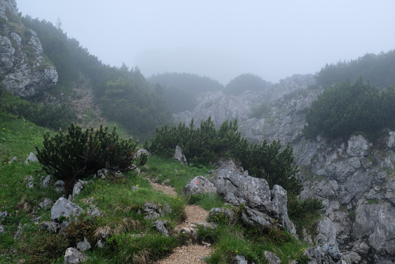 Weg im Nebel auf der Benediktenwand
