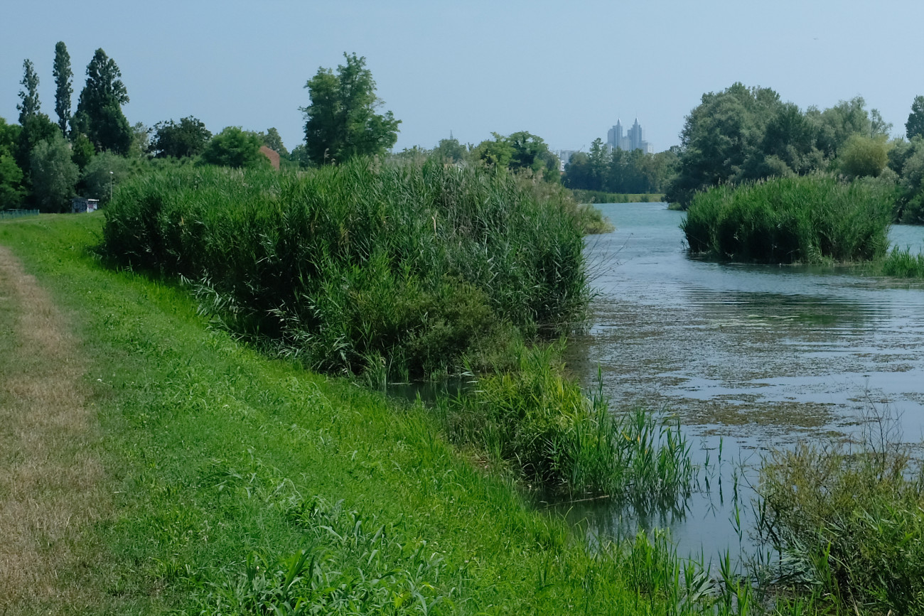 Bettenburg am Horizont
