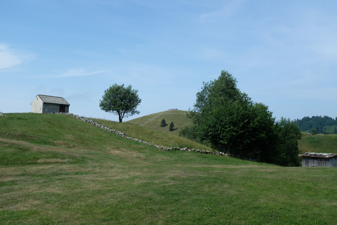 Hügel voller Narren 1