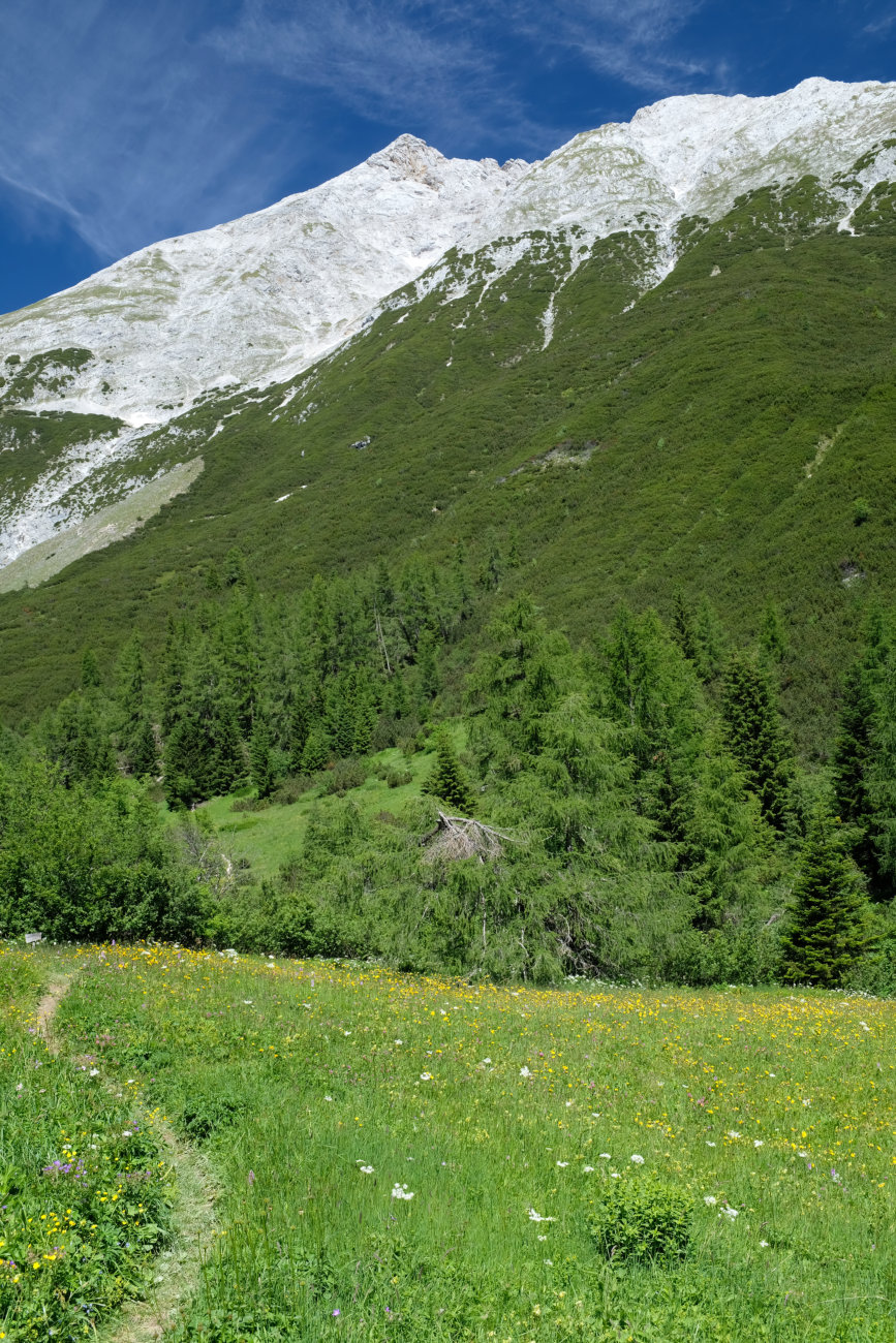 Wiesen, Berge, Himmel