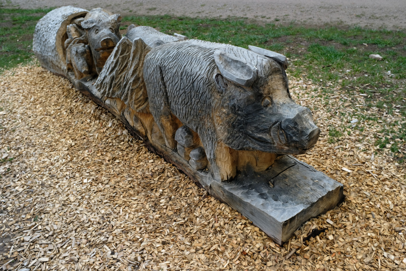 Wildschweine