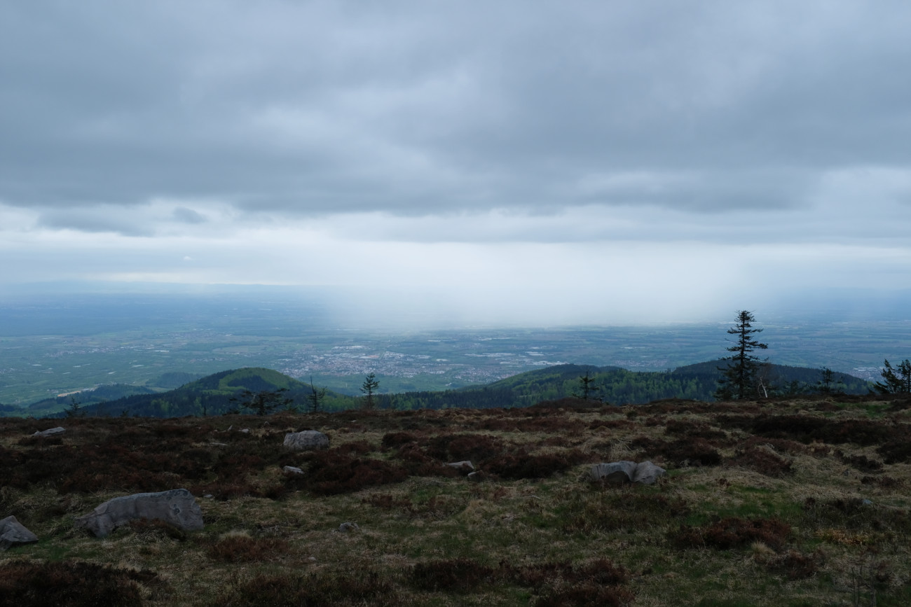Blick von Hornisrinde