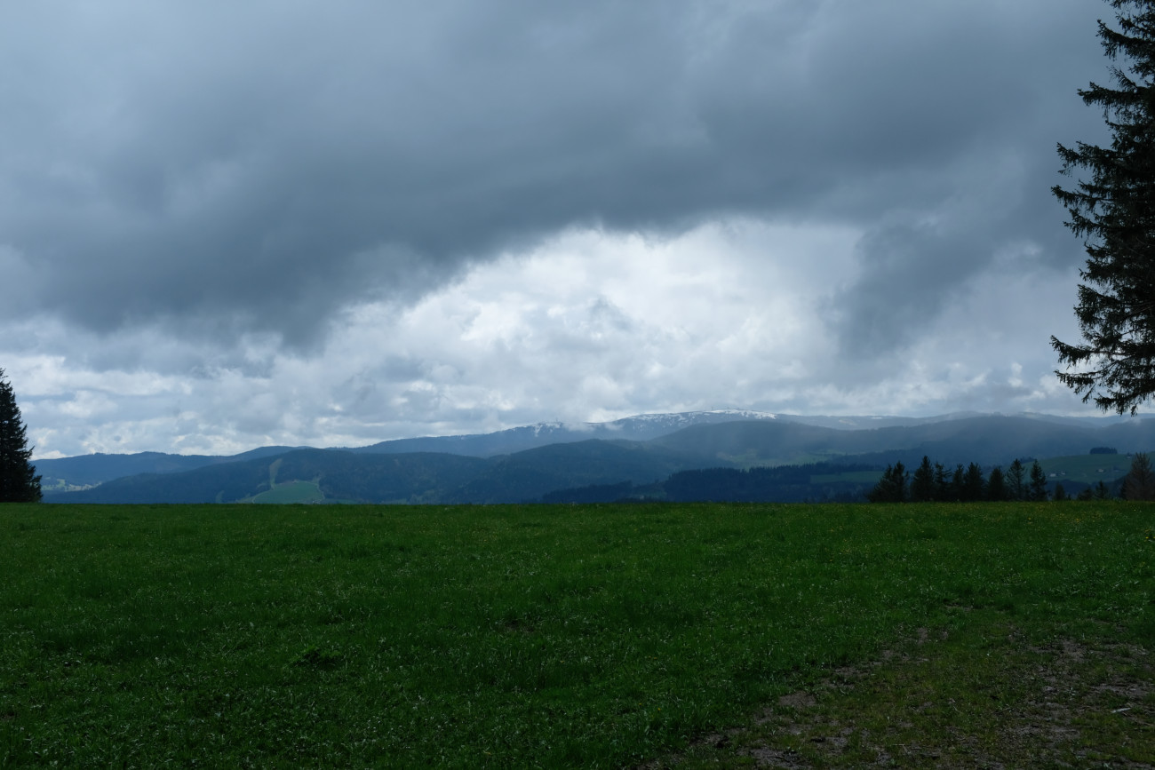 Feldbergblick