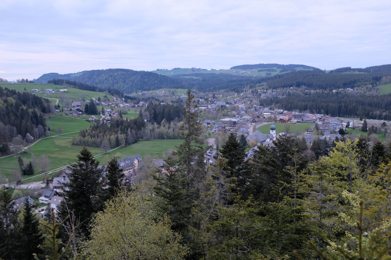 Hinterzarten