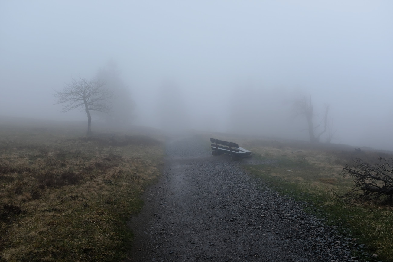 Bank im Nebel