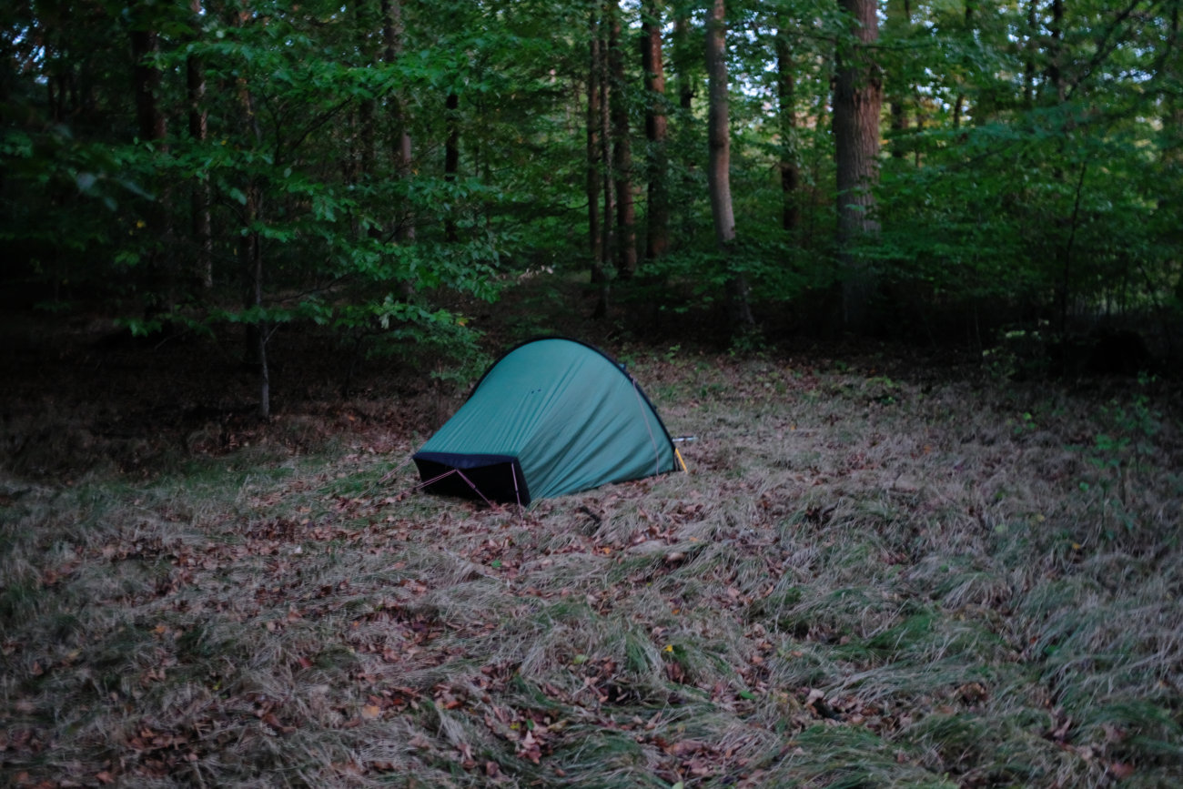 Zelt im Wald