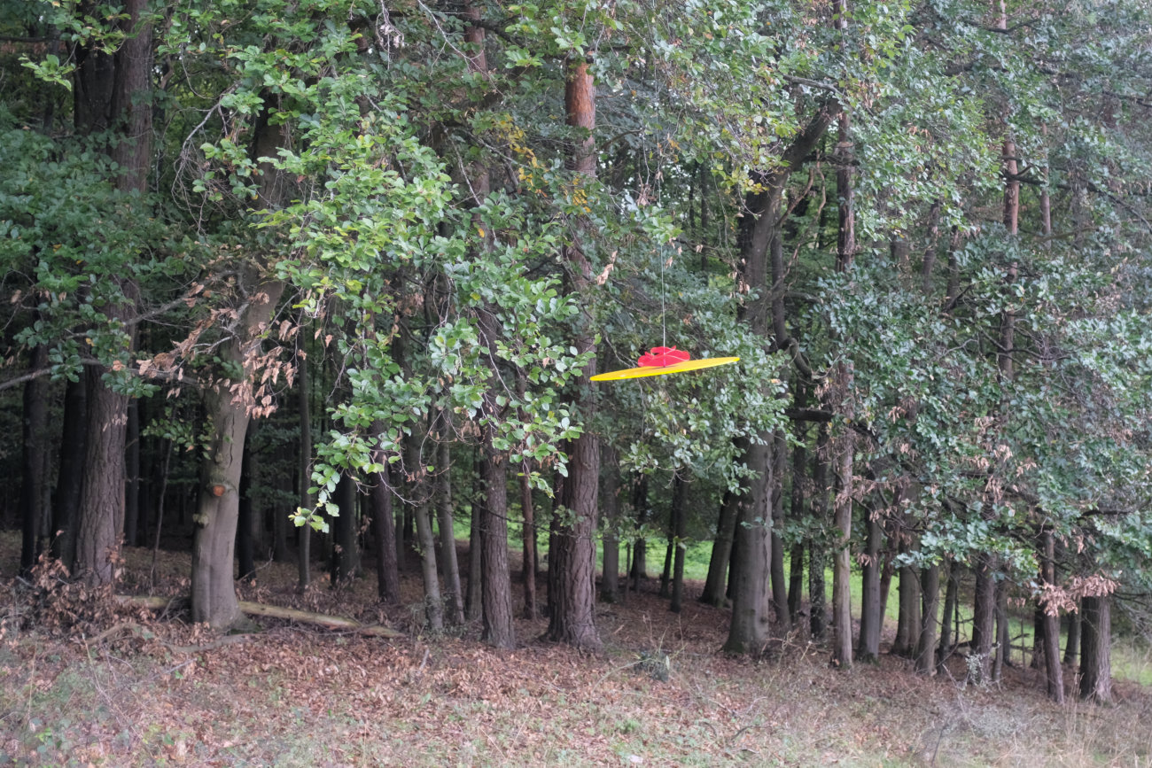 Das Lächeln der Blume