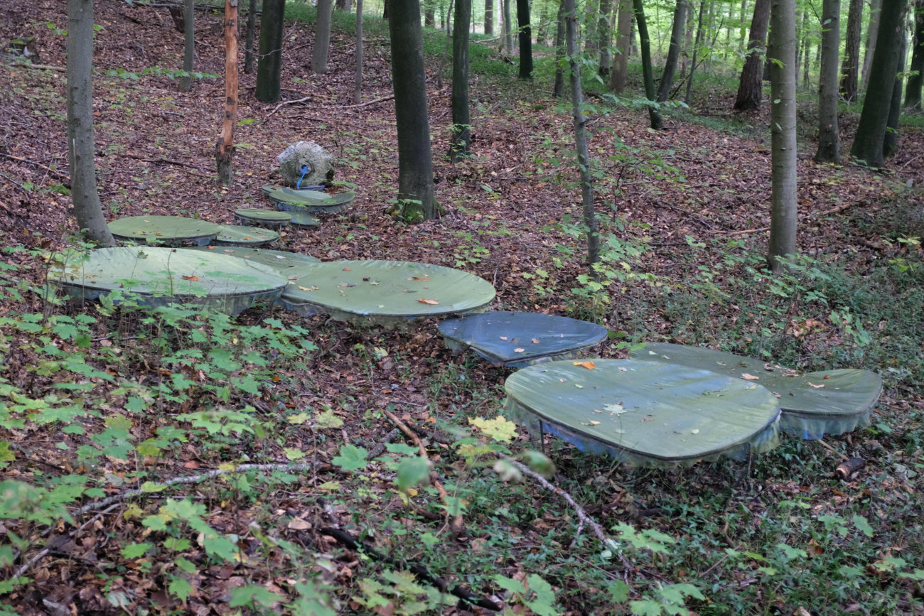 Illusionen mit Stofftier