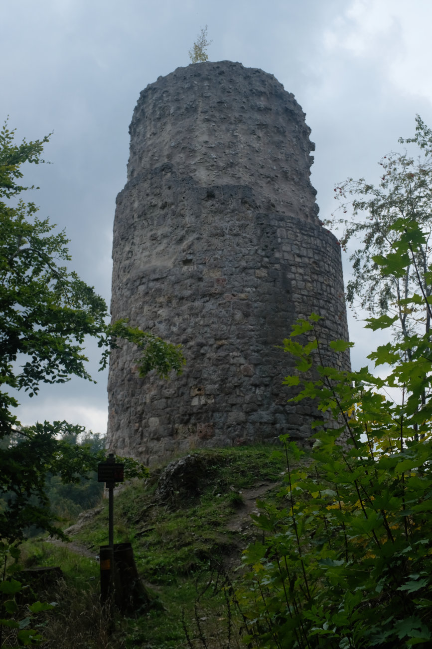 Burgruine Schenkenstein
