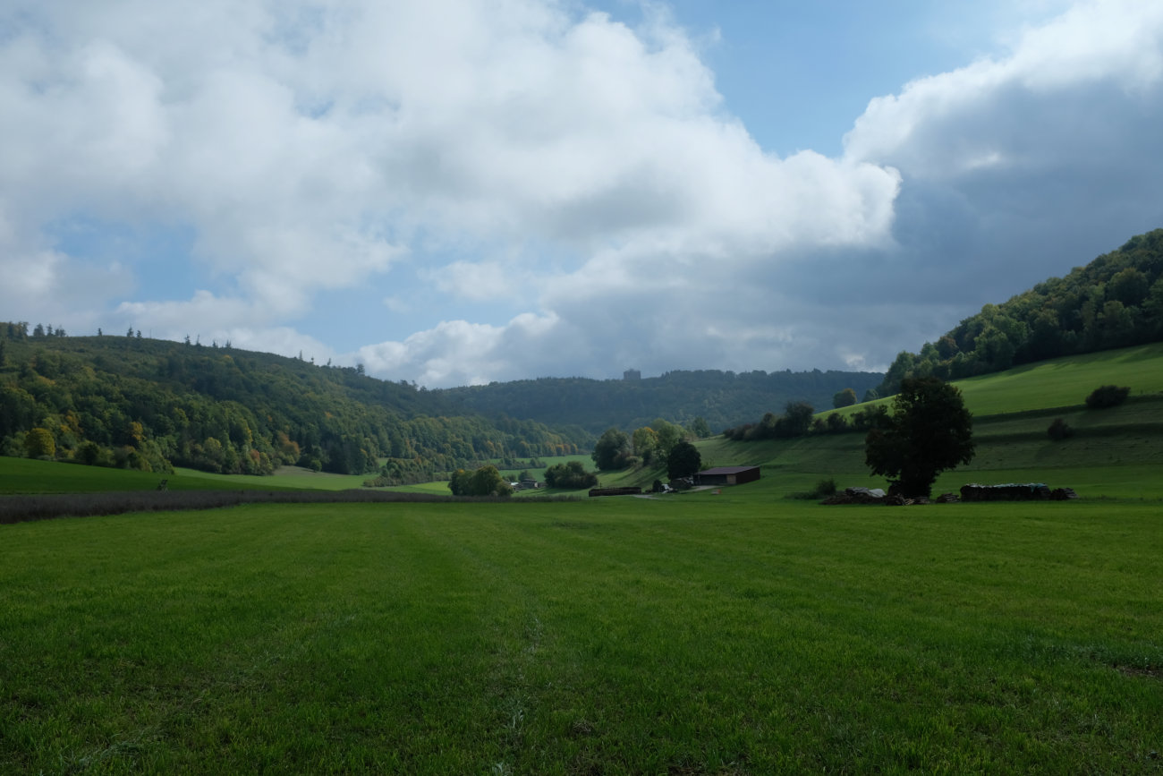 Wiesenlandschaft