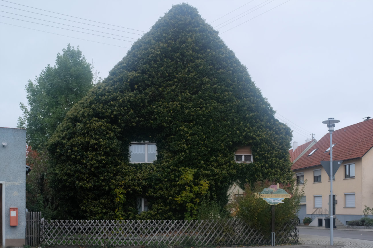 zugewachsenes Haus
