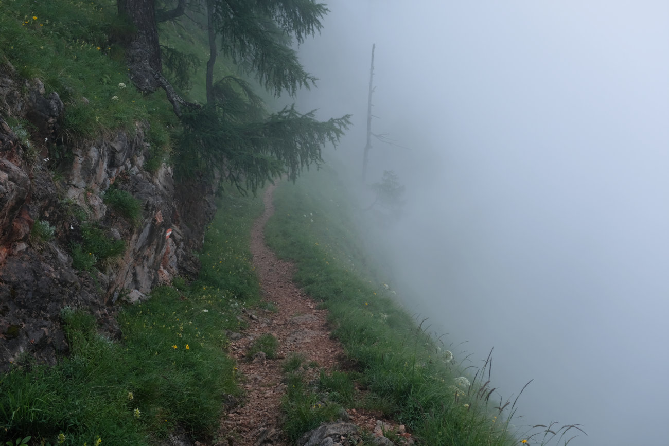 Weg im Nebel