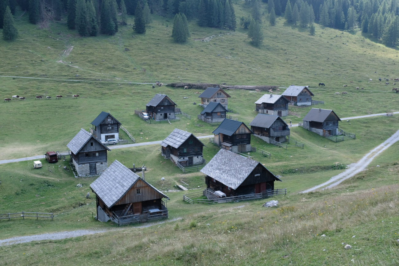 Dellacher Alm