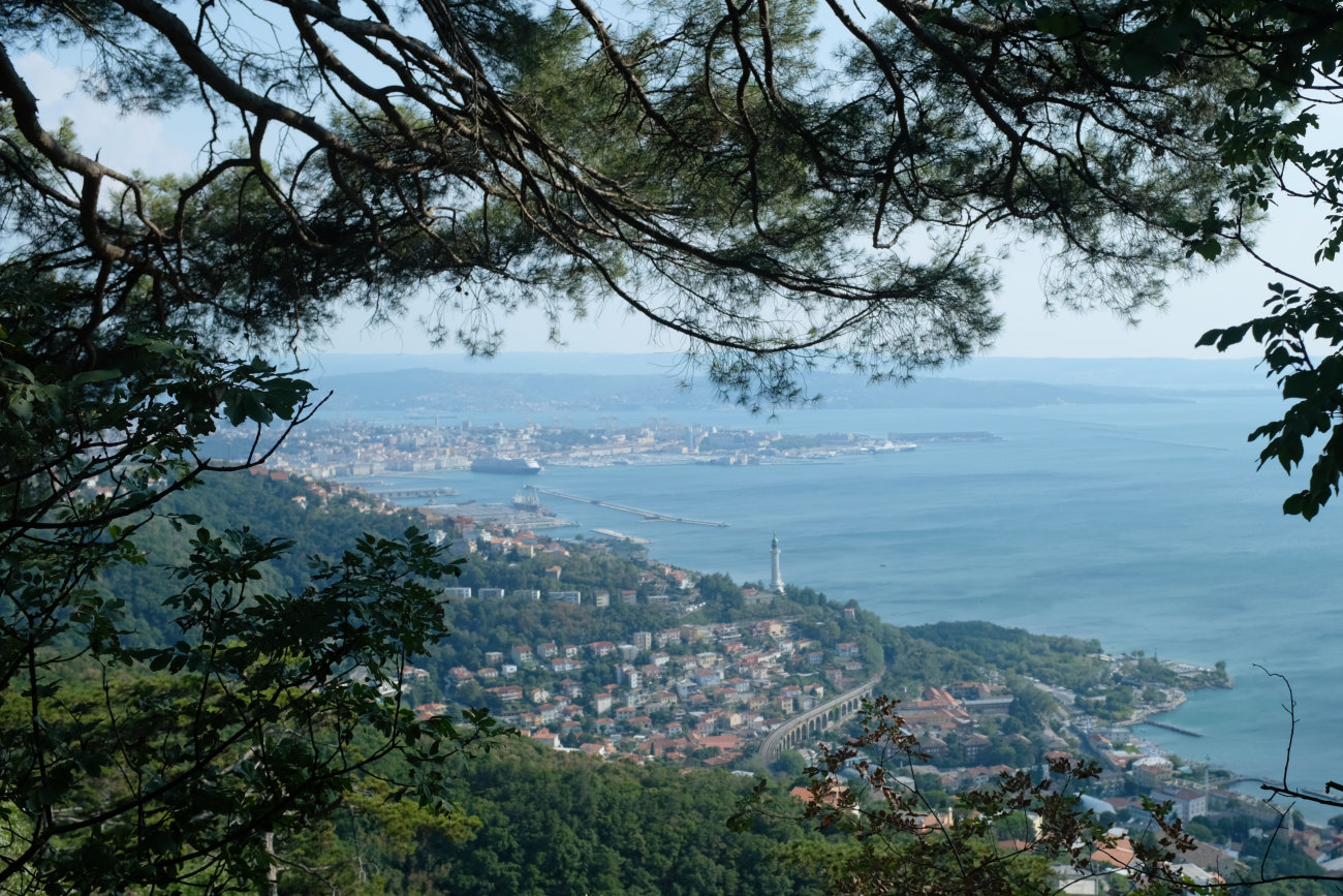Triest-Blick