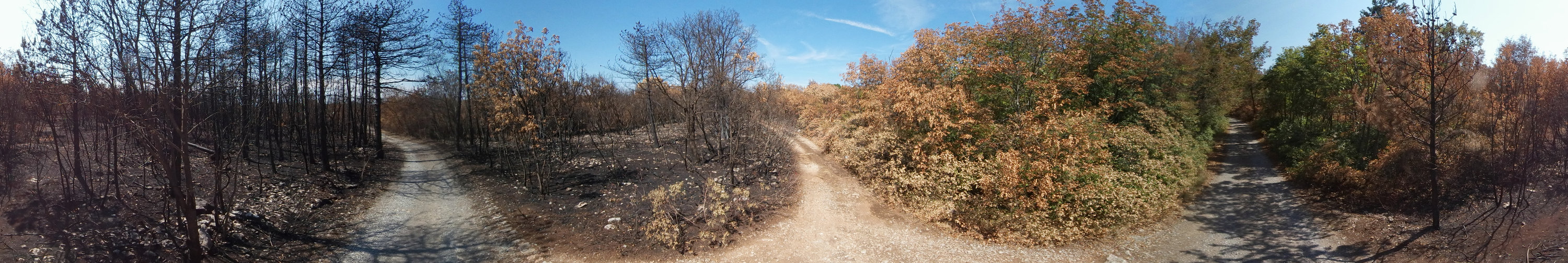 Panorama in Druck-Ausgabe