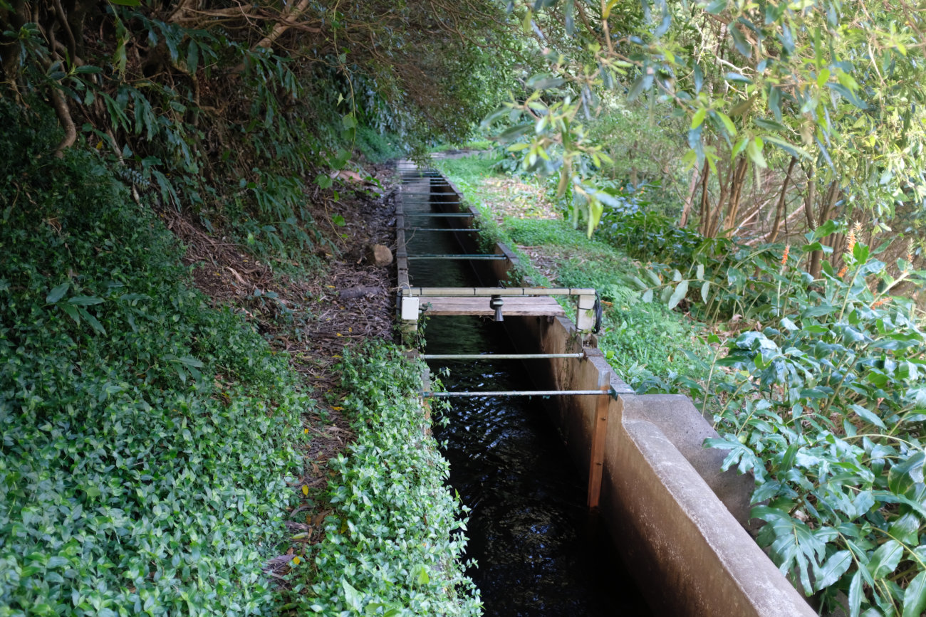 Levada