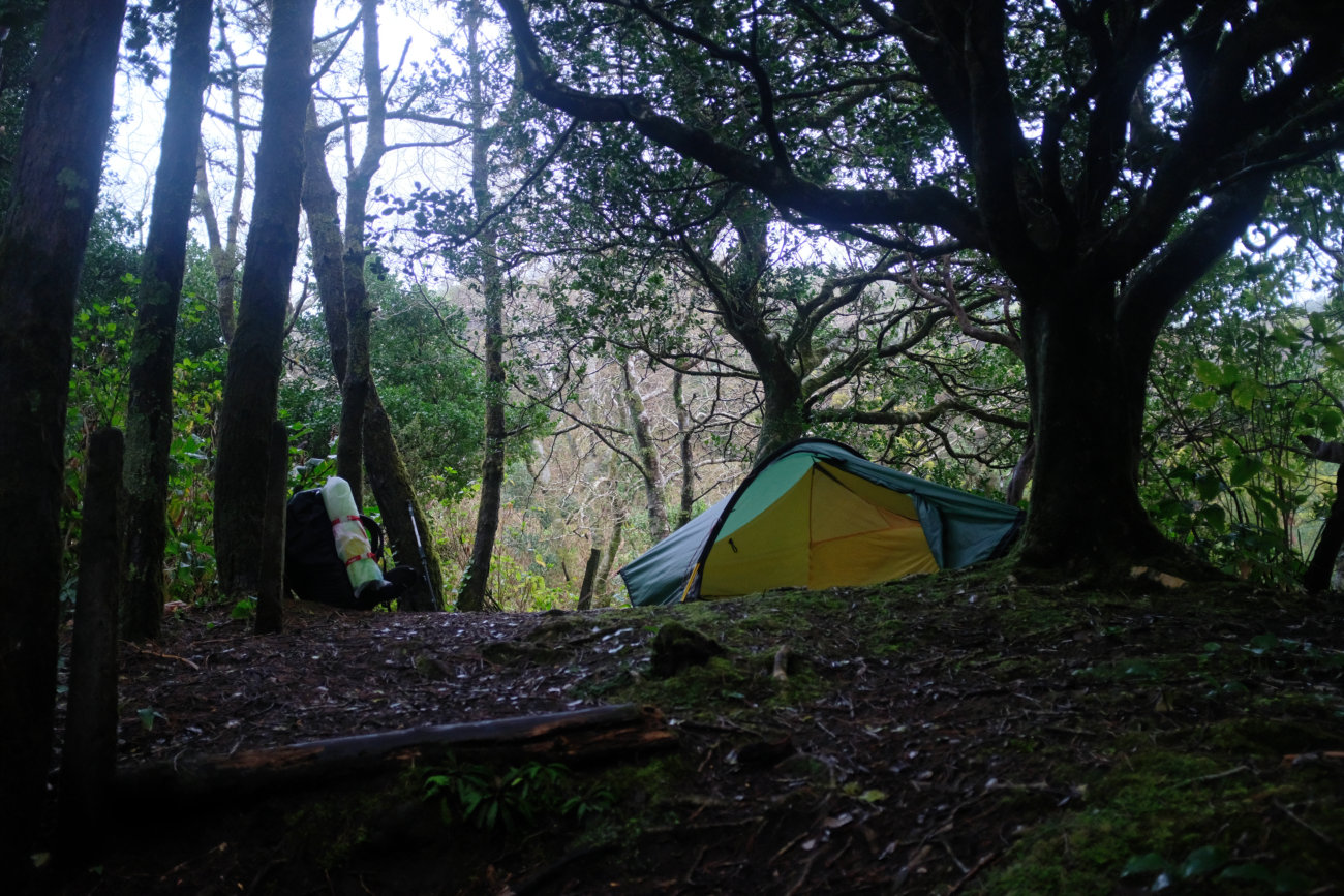 Zelt Faial Dschungel